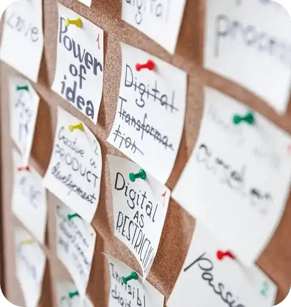 Digital Strategy in social branding