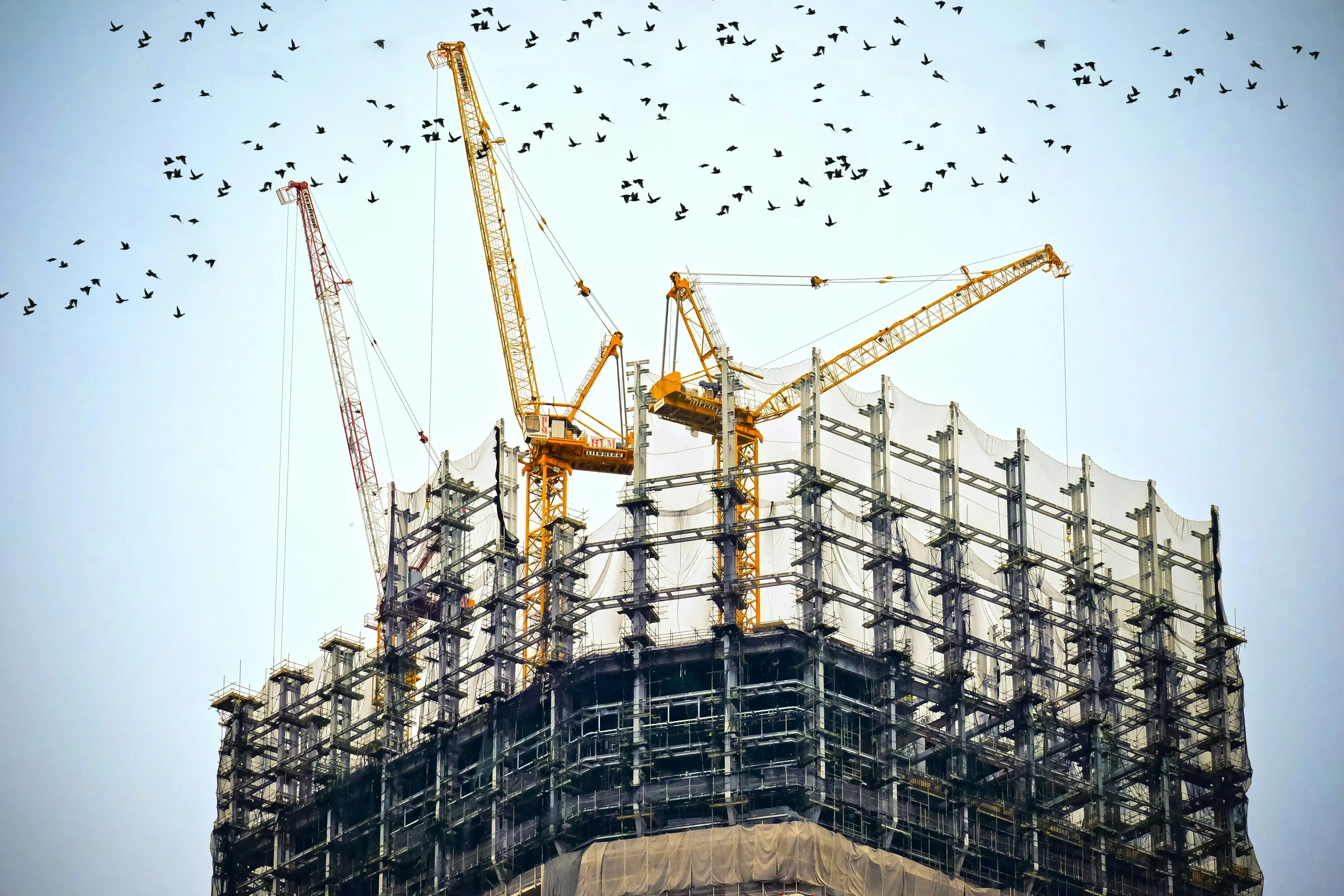 Construction industry which we can handle by hoffstee