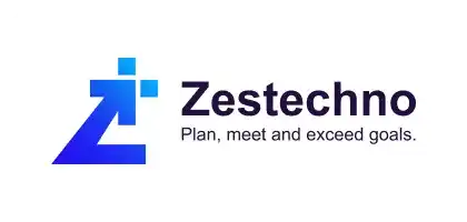custom branding and logo design for zestechno